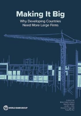 Making It Big: Why Developing Countries Need More Large Firms by Andrea Ciani