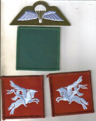 DZ Flash Airborne Forces 3 PARA Parachute Regiment DZ Flash - Airborne Forces Patch 3 PARA Parachute Regiment Patch - Foto 8