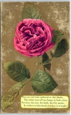 Postcard - Flower Art Print & Poem