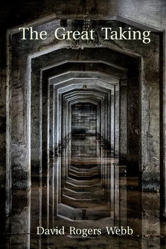 The Great Taking by David Rogers Webb USA Stock Premium Quality Fast Shipping