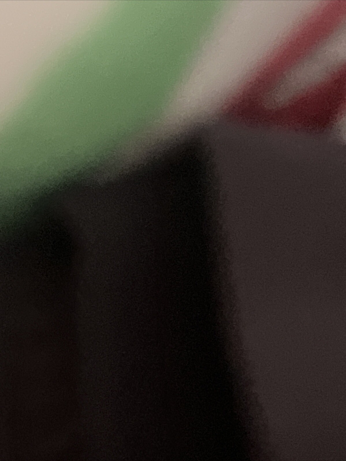 Picture 8 of 9