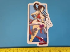 VTG HOOK UPS ANIME PRINCESS WARRIOR NINJA GIRL FIGHT NOS SKATEBOARD DECK STICKER