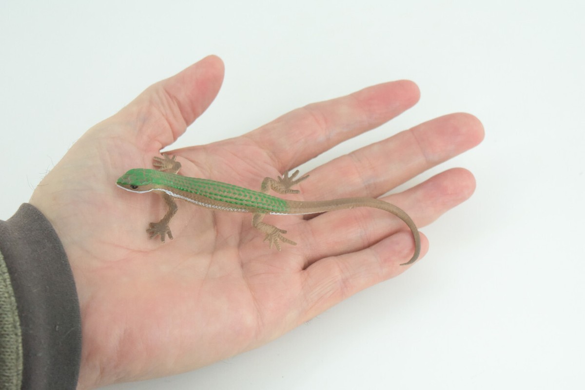 Green Spotted Whiptail Lizard, Realistic Hand Painted Rubber Toy 5
