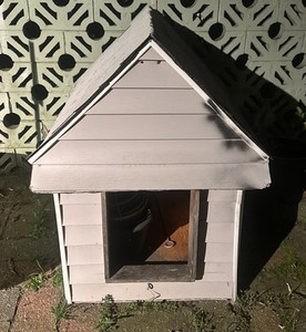 Dog House