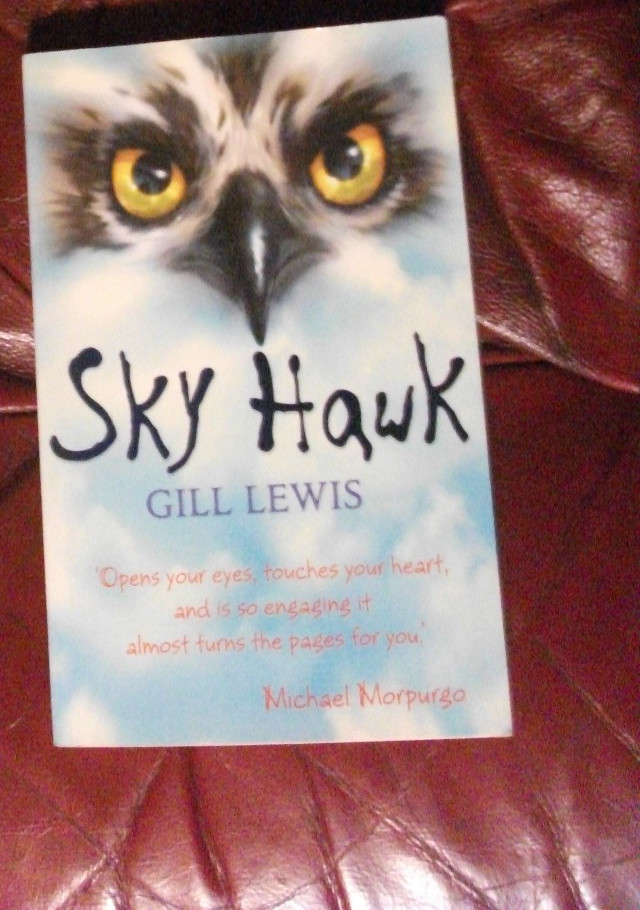 Sky Hawk, Gill Lewis,  paperback