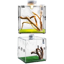 Clear Reptile Cage Jumping Spider Growth Enclosure Lightweight Small Animal