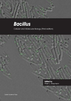 Peter Graumann Bacillus: Cellular and Molecular Biology (Third edi (Taschenbuch)