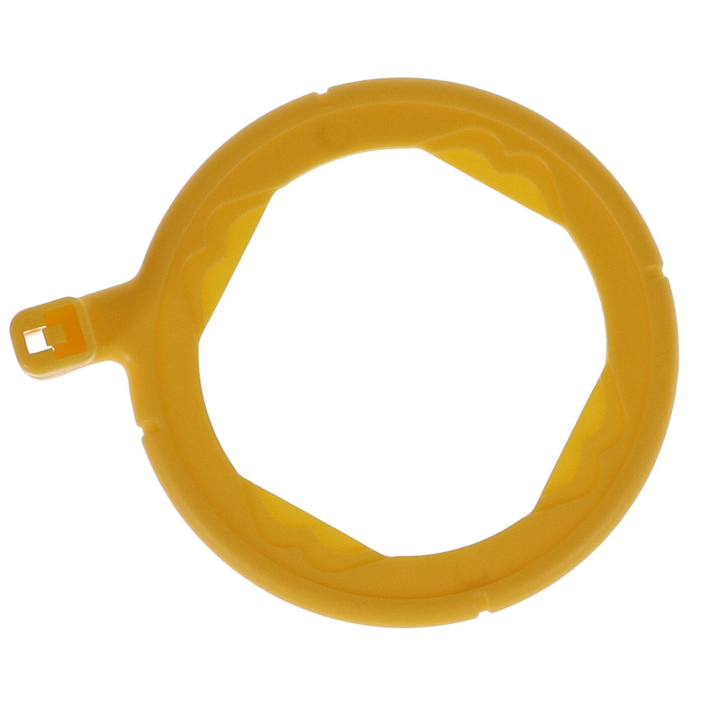 House Brand Dentistry Dental X-Ray Aiming Rings | eBay