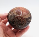 Mini Santa Clara Seedpot Pot Sgraffito Carved Floral Hummingbird Eric Tafoya 2.5 — photo 7
