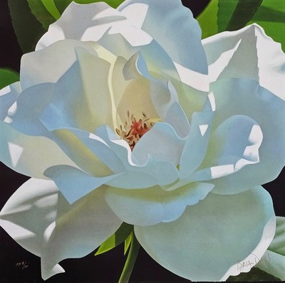 BRIAN DAVIS Rose in the Shadows HAND SIGNED PP8/10 flower art Canvas US Artist