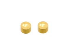24K Gold Over Surgical Stainless Steel Mini Round Shape Stud Earrings