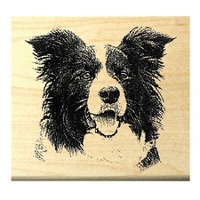 Rubber stamp Border collie Dog 2.3x2.5" WM P4