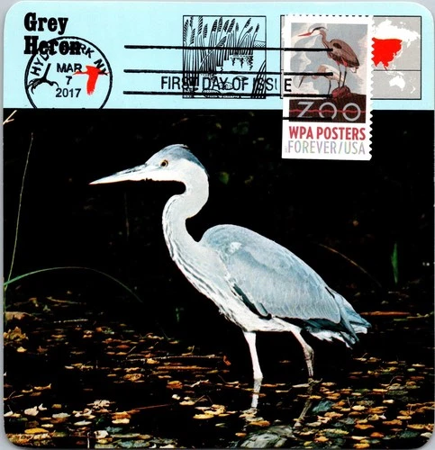 Dr Jim Stamps Maximum Card Wpa Posters Zoo Forever Fdc