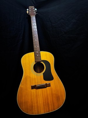 Washburn D12-N Akustikgitarre - Natur - 1986 inkl. Hardcase