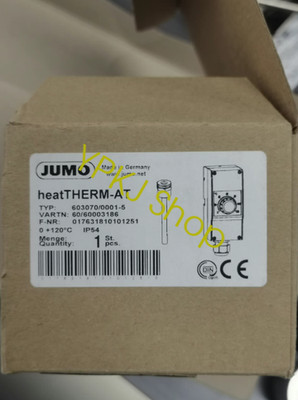 1PCS NEW JUMO 603070/0001-5 Thermostat Fast delivery Via DHL/FEDEX