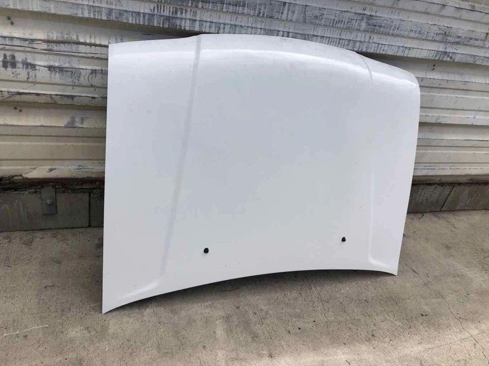 KIA SPORTAGE 1995-2002 deportivo utilitario capó panel pintura código UD blanco transparente Foto 3 de 4