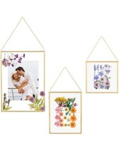 Double Glass Frame For Pressed Flowers Leaf And Artwork Set Of 3 Hanging Picture
