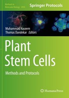 Plant Stem Cells Muhammad Naseem
