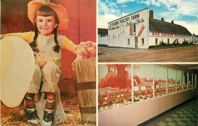 Michigan Standish Chick Museum 1960s Girl Interior O'Neil  Postcard 22-5041