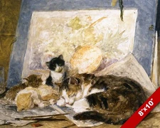 NAP TIME CUTE SLEEPING CAT & KITTENS PET ANIMAL ART PAINTING REAL CANVAS PRINT
