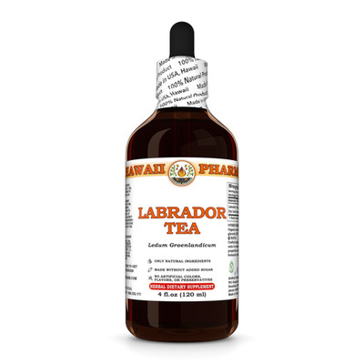 Labrador Tea (Ledum Groenlandicum) Dried Leaf Liquid Herbal Extract