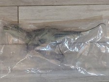 Jurassic World Indominus Rex Realistic 14.5" New In Package Movable Jaw