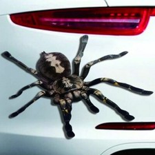 Autoaufkleber 3D " Spinne 2 " mit starker visueller Wirkung, (Korb black)