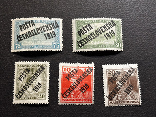 Francobolli Cecoslovacchia 1919 Ungherese Ovptd / MH OG / 1V255
