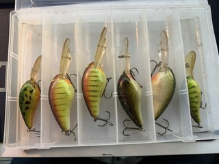 Lot of 6 Norman Crankbaits DD22 Bass Fishing Lures