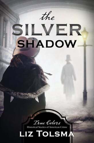 The Silver Shadow: Volume 11 by Liz Tolsma: Used