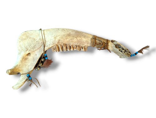 Native American Bison Jawbone Hand Painted - 16” Long - Picture 4 of 5