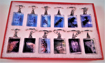  BULK WILDLIFE KEY RINGS/CHAINS- ( 12 PCS ) BOXED - SEE DESCRIPTION