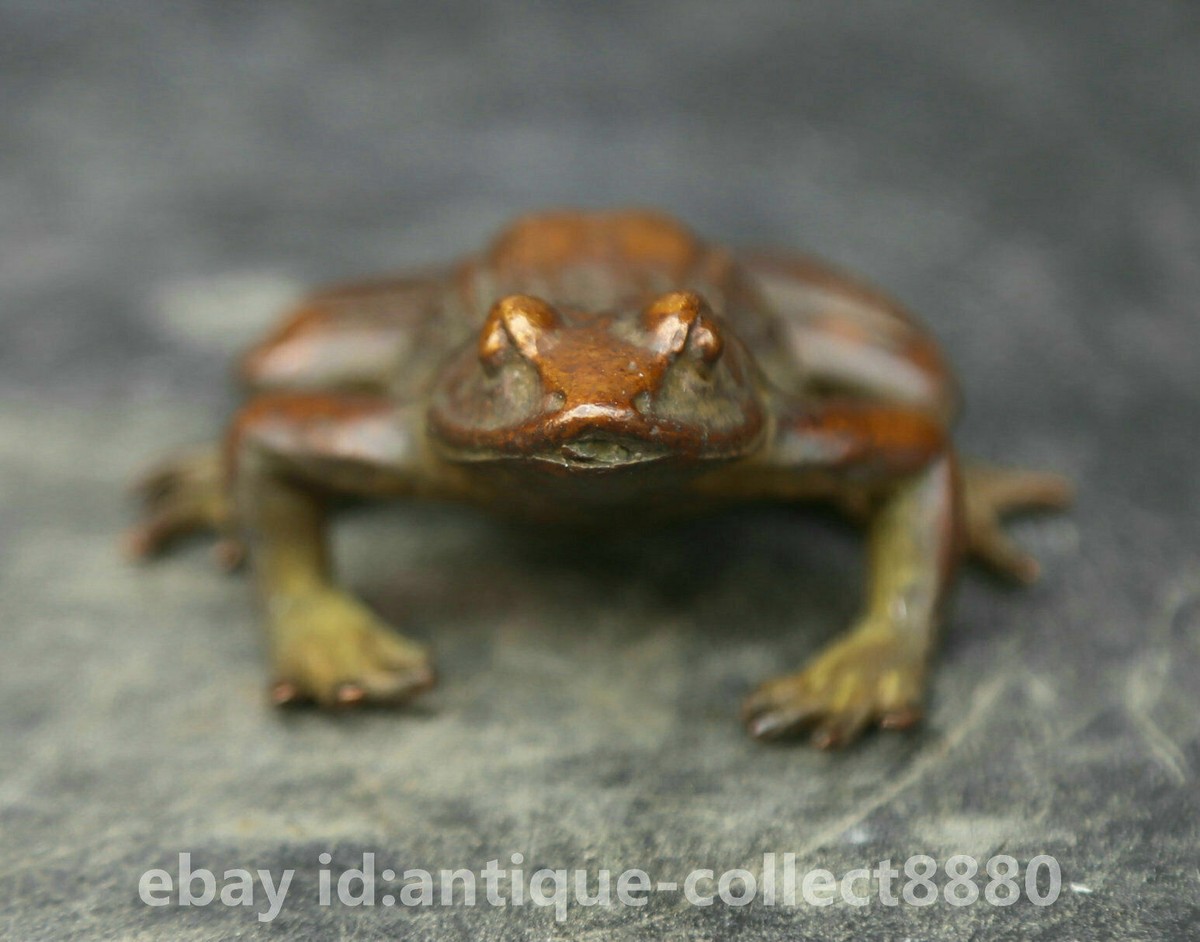 57MM/137G Collection Chinese Pure Bronze Animal Luck Frog Qingwa