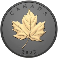 2025 Canada Gilded Elegant Maple Leaf 1oz 9999 Silver Matte Proof Coin