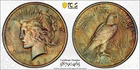 1923 Peace Dollar $1 PCGS UNC Details – Questionable Color Silver Coin TONED