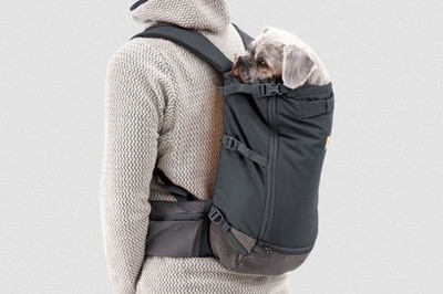 Ruffwear Hitch Hiker Hund Rucksack Träger Verschiedene Farben Neu