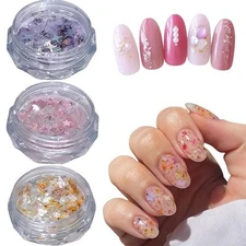 3 Box 3D Dried Flower Nail Art Stickers Colorful Shell Glitter Stars Sequins 