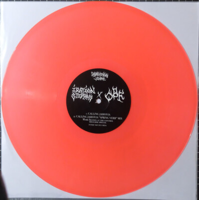 Iration Steppas X O.B.F - Roadblock / Calling Jahovia (12