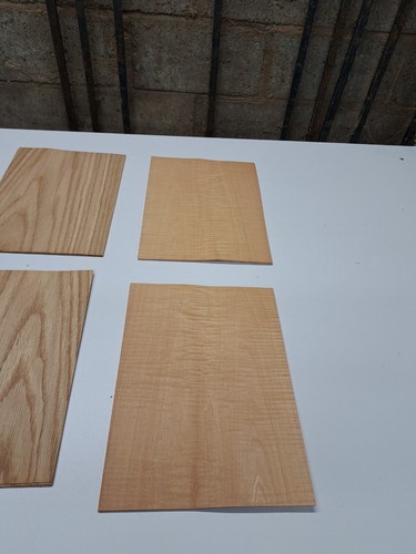 Wood Veneer Sample Pack - 10 PIECES 300mm x 210mm - for marquetry - Pack 169 - Picture 6 of 7