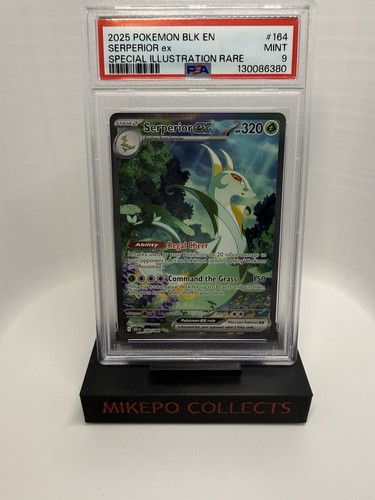 Serperior ex graded PSA 9 for sale on eBay