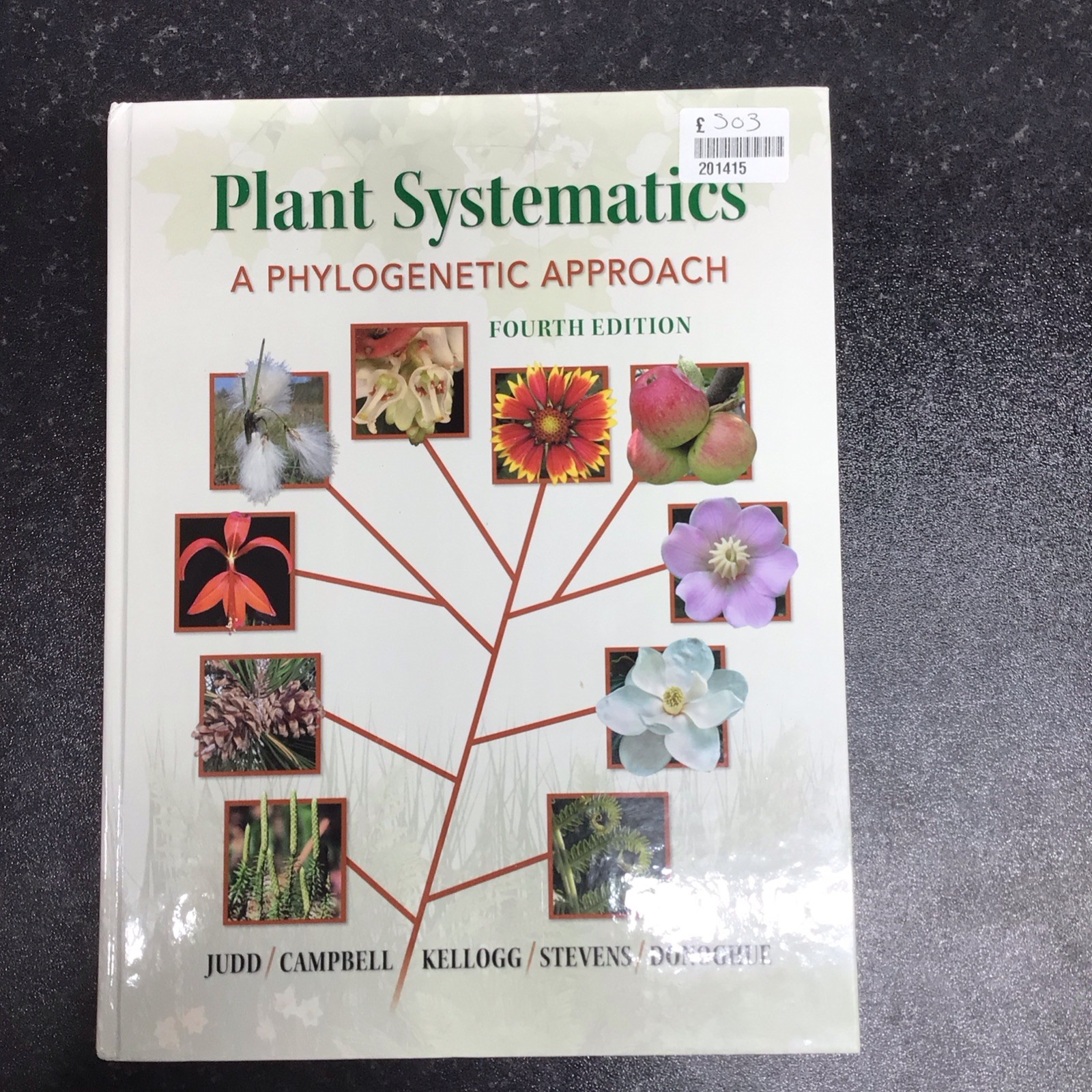 Plant Systematics: A Phylogenetic Approach