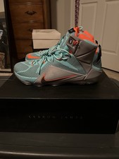 Nike LeBron 12 NSRL - 684593-301 for Sale | Authenticity