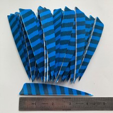 50PCS 4inch Striped Sky Blue Shield Vanes Fletches Feathers Fletching RW LW