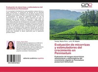 EvaluacióN De Micorrizas Y Estimuladores Del Crecimiento En Pennisetum Larry M.