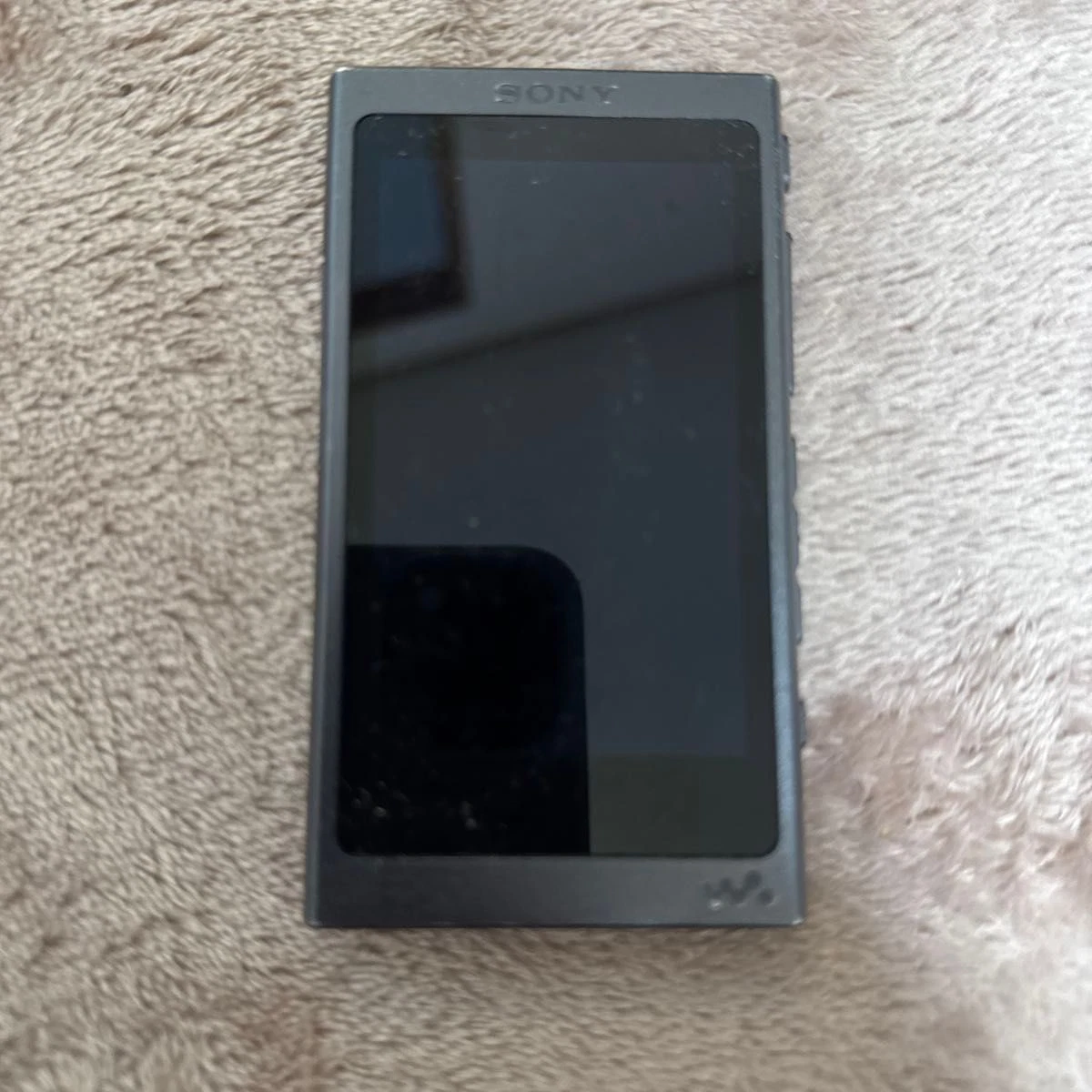 Sony NW-A55 MP3 Players for sale | eBay