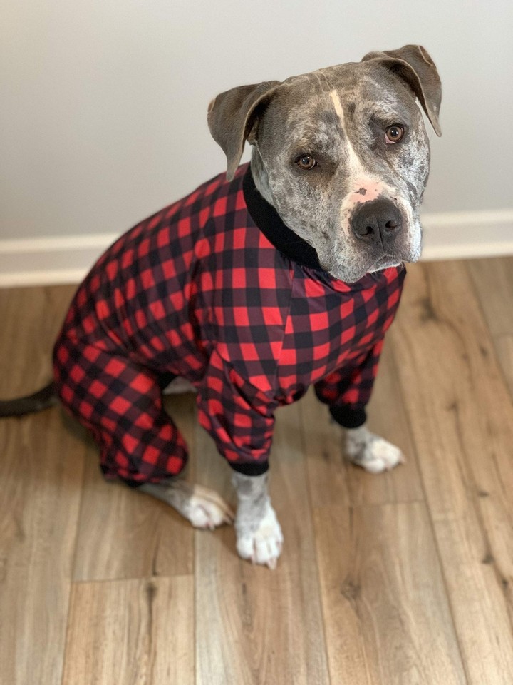 Tooth and Honey Pit Bull Pajamas/Buffalo Plaid/Lightweight Pullover