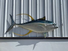 72" Yellowfin Tuna Half Mount Fish Replica - Quick Production
