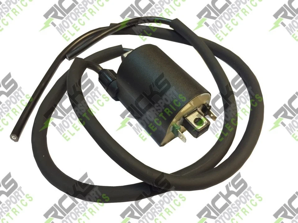 Bobina de encendido Ricks para Honda Silver Wing 600 FSC600 2002-2013 23-104 Foto 2 de 3