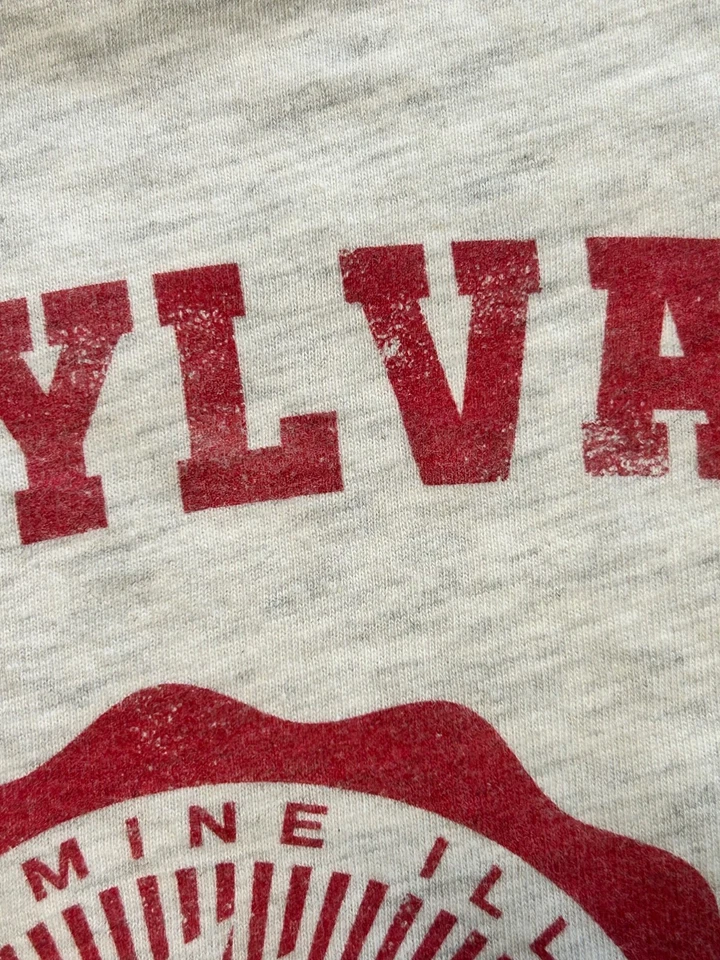 Трансильванский университет серый готический Дракула вампир футболка средний - Изображение 3 из 4