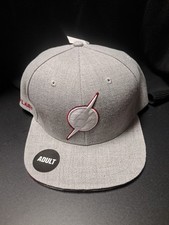 DC Comics The Flash licensed embroidered logo snapback cap, heather grey and red